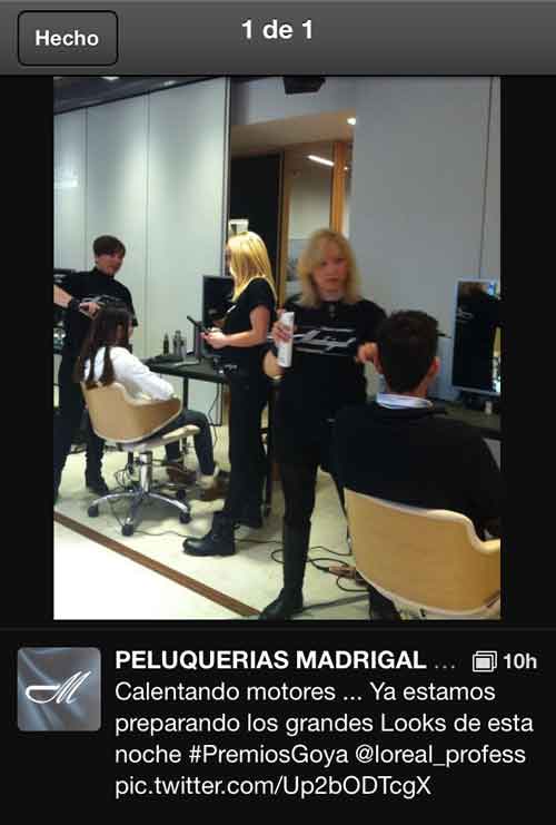 twitter.madrigal